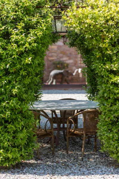 Event space at Twin Tuscan Italian Villas with Historic Gardens & Grand Event Spaces – Lucca, Italy
