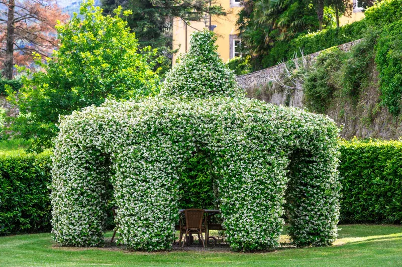 Event space at Tuscan 4-Villa Collection with Poolside Gardens & Historic Charm – Near Lucca, Italy